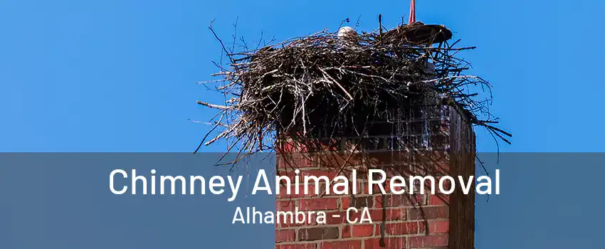 Chimney Animal Removal Alhambra - CA