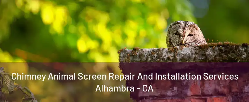 Chimney Animal Screen Repair And Installation Services Alhambra - CA